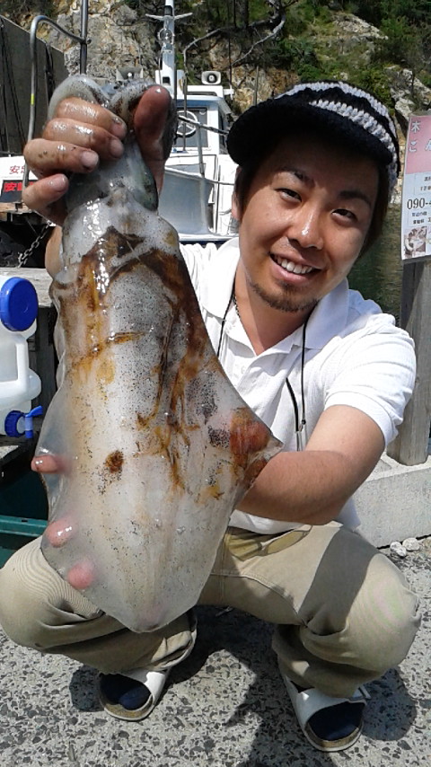 アオリイカ 日御碕 宇竜 渡船 ごんげん丸 釣り情報